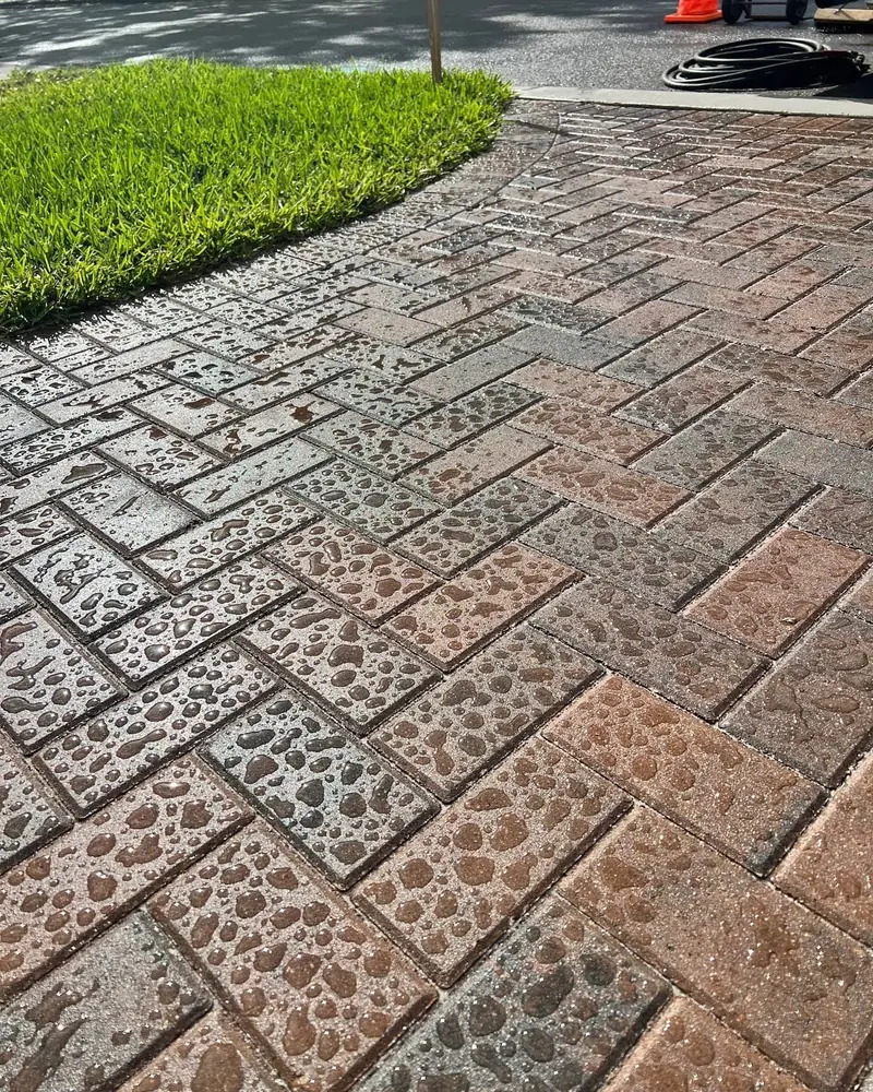 Rain beading up on a freshly sealed herringbone paver driveway in St. Petersburg