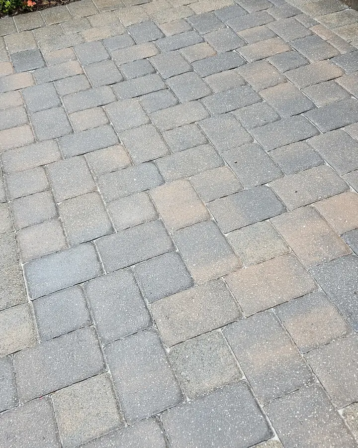 Sealed paver walkway beside a flower bed